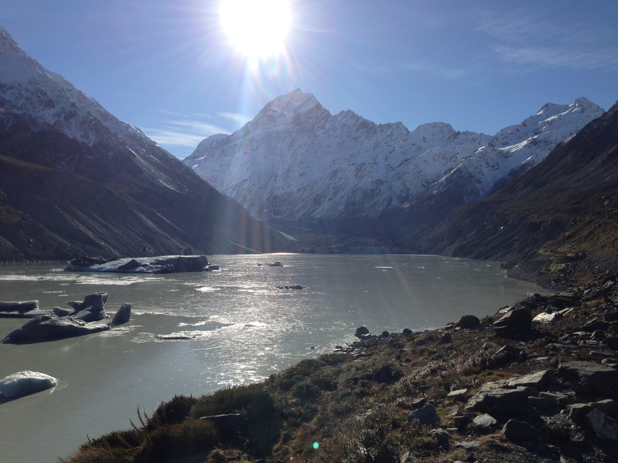 Tom goes to New Zealand COTA Insurance